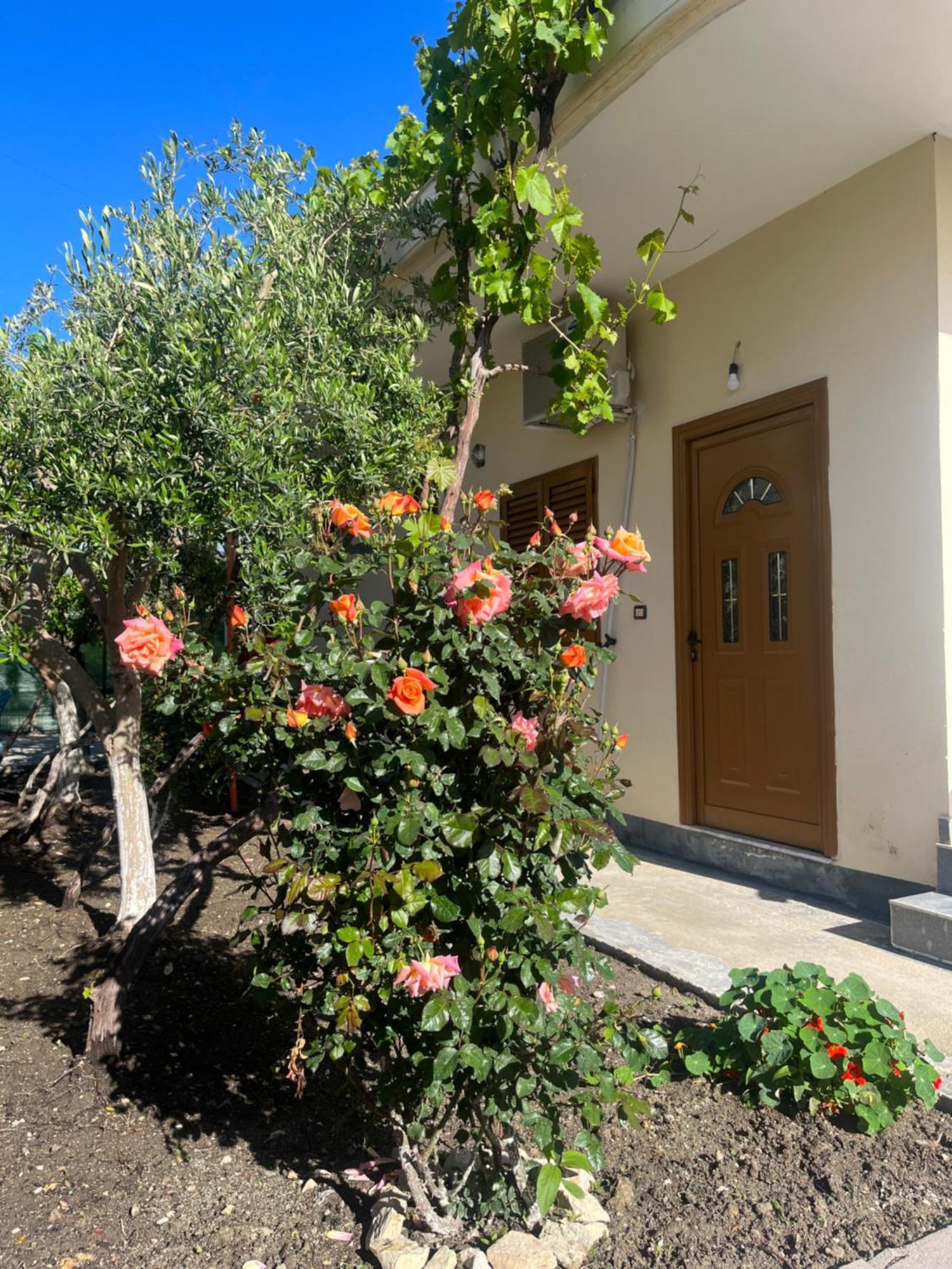 Blossom Apartments Vlora Kültér fotó