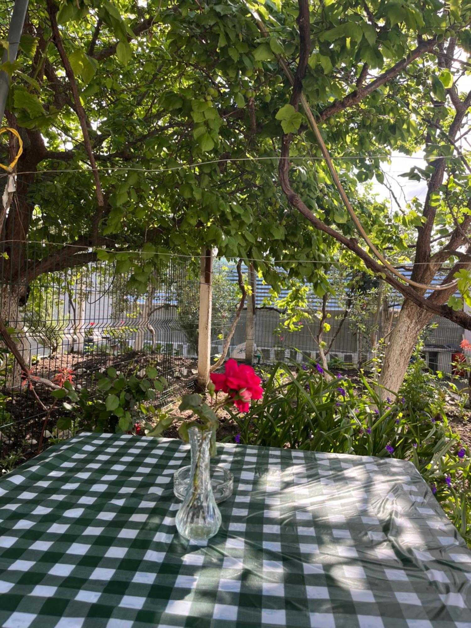 Blossom Apartments Vlora Kültér fotó